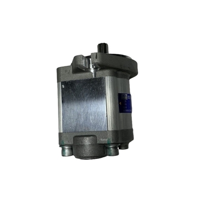 Kraftvolle Gabelstaplerpumpe CBHCA-F16-AL9 für CPCD200-250 Gewicht 3,2 KG
